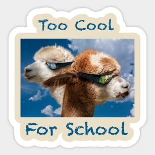 Too Cool For School Sticker